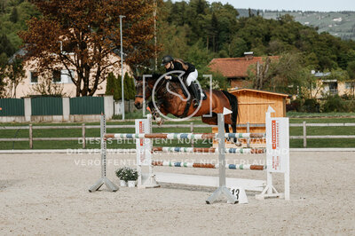 © Niki Buchegger, turnier-fotos.at