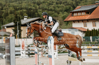 © Niki Buchegger, turnier-fotos.at