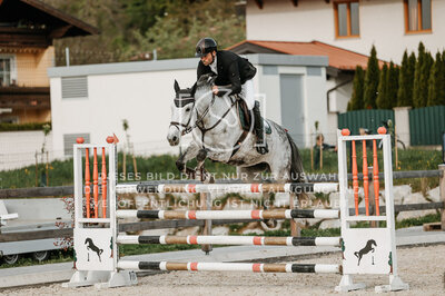 © Niki Buchegger, turnier-fotos.at