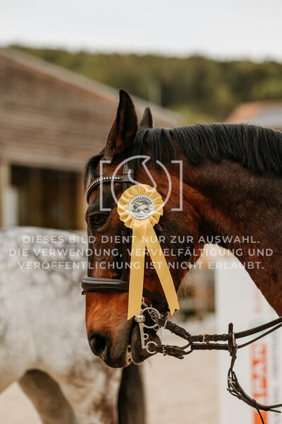 © Niki Buchegger, turnier-fotos.at