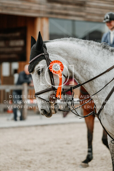 © Niki Buchegger, turnier-fotos.at