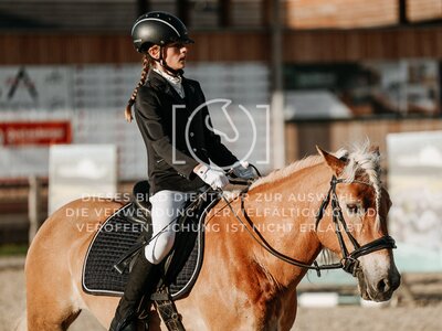 © Niki Buchegger, turnier-fotos.at