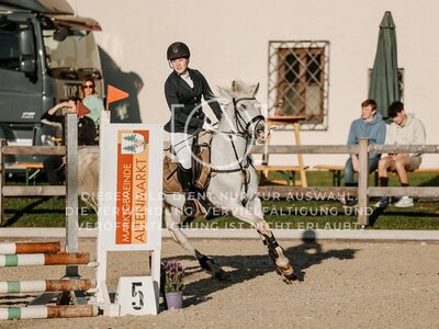 © Niki Buchegger, turnier-fotos.at