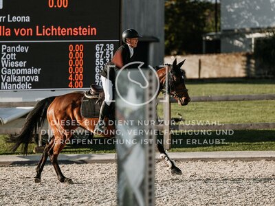 © Niki Buchegger, turnier-fotos.at