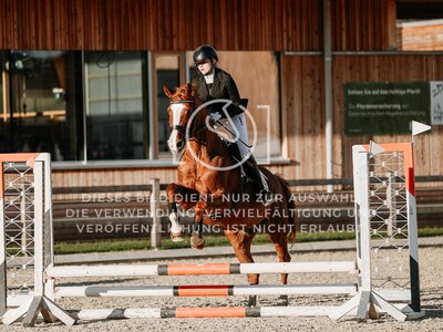 © Niki Buchegger, turnier-fotos.at