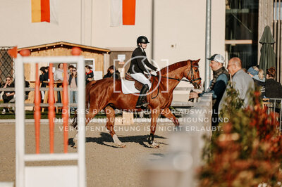 © Niki Buchegger, turnier-fotos.at