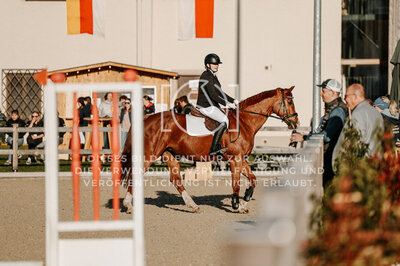 © Niki Buchegger, turnier-fotos.at