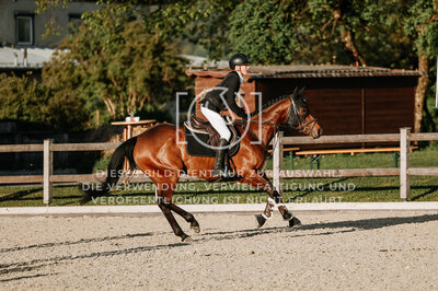 © Niki Buchegger, turnier-fotos.at