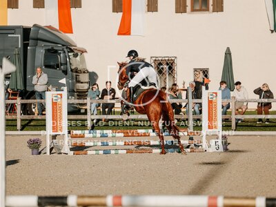 © Niki Buchegger, turnier-fotos.at