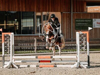 © Niki Buchegger, turnier-fotos.at