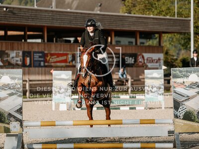 © Niki Buchegger, turnier-fotos.at