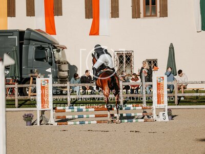© Niki Buchegger, turnier-fotos.at