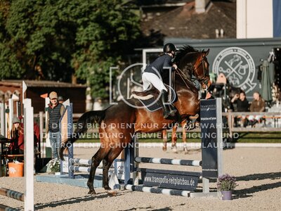 © Niki Buchegger, turnier-fotos.at