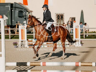 © Niki Buchegger, turnier-fotos.at