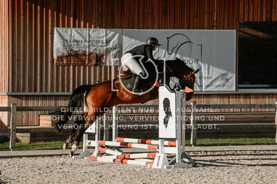 © Niki Buchegger, turnier-fotos.at