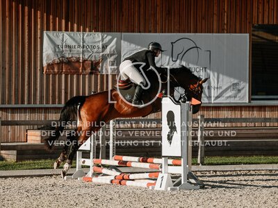 © Niki Buchegger, turnier-fotos.at