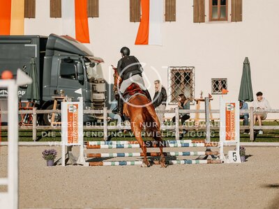 © Niki Buchegger, turnier-fotos.at