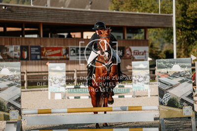 © Niki Buchegger, turnier-fotos.at