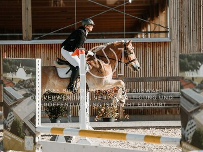 © Niki Buchegger, turnier-fotos.at
