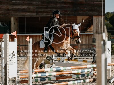 © Niki Buchegger, turnier-fotos.at