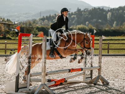 © Niki Buchegger, turnier-fotos.at