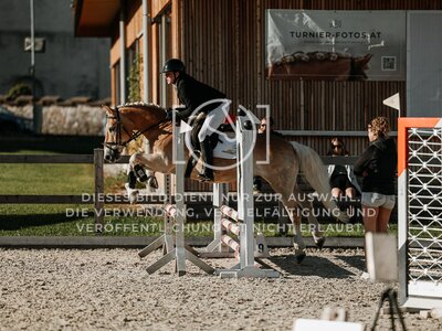 © Niki Buchegger, turnier-fotos.at