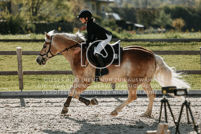 © Niki Buchegger, turnier-fotos.at