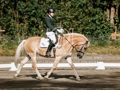 © Niki Buchegger, turnier-fotos.at