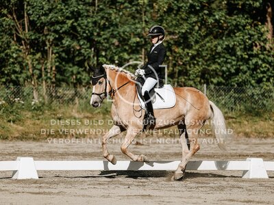 © Niki Buchegger, turnier-fotos.at