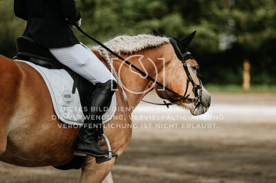 © Niki Buchegger, turnier-fotos.at