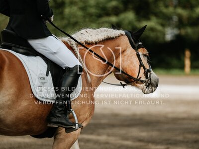 © Niki Buchegger, turnier-fotos.at
