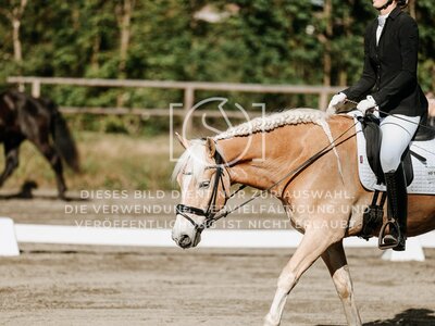 © Niki Buchegger, turnier-fotos.at