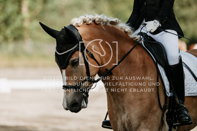© Niki Buchegger, turnier-fotos.at