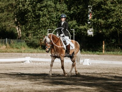 © Niki Buchegger, turnier-fotos.at