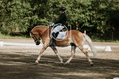 © Niki Buchegger, turnier-fotos.at