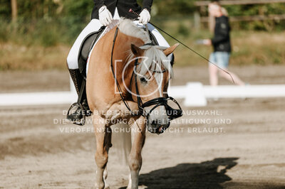 © Niki Buchegger, turnier-fotos.at
