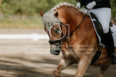 © Niki Buchegger, turnier-fotos.at