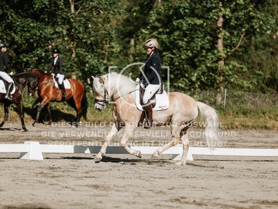 © Niki Buchegger, turnier-fotos.at
