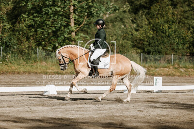 © Niki Buchegger, turnier-fotos.at