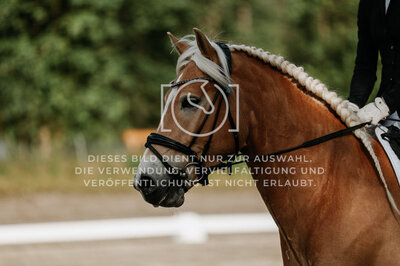 © Niki Buchegger, turnier-fotos.at