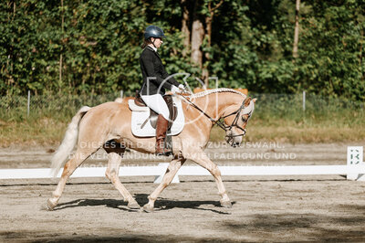 © Niki Buchegger, turnier-fotos.at