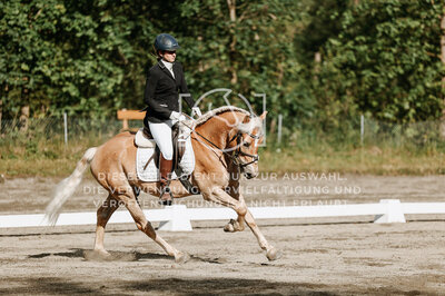 © Niki Buchegger, turnier-fotos.at