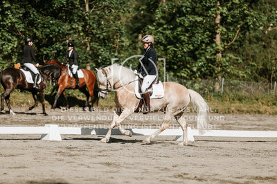 © Niki Buchegger, turnier-fotos.at