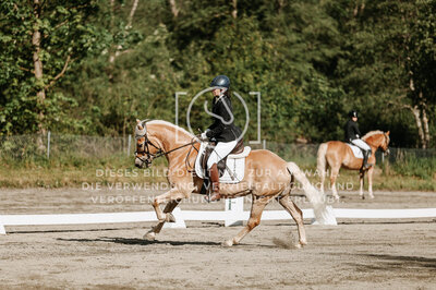 © Niki Buchegger, turnier-fotos.at