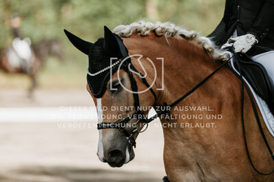 © Niki Buchegger, turnier-fotos.at