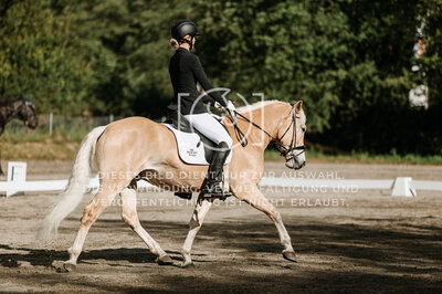 © Niki Buchegger, turnier-fotos.at