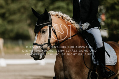 © Niki Buchegger, turnier-fotos.at