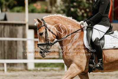 © Niki Buchegger, turnier-fotos.at