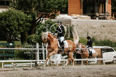 © Niki Buchegger, turnier-fotos.at