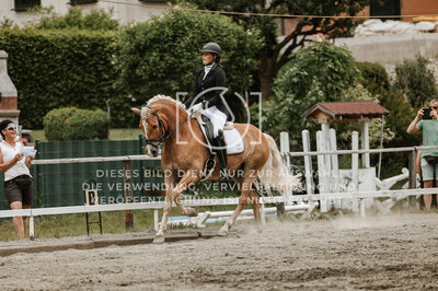 © Niki Buchegger, turnier-fotos.at